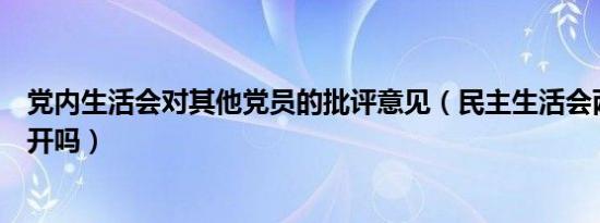 党内生活会对其他党员的批评意见（民主生活会两个人可以开吗）