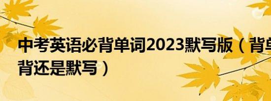 中考英语必背单词2023默写版（背单词是平背还是默写）