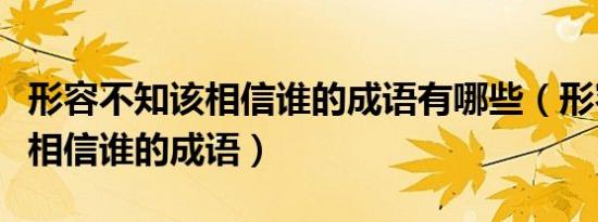 形容不知该相信谁的成语有哪些（形容不知该相信谁的成语）