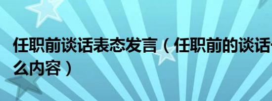 任职前谈话表态发言（任职前的谈话一般有什么内容）