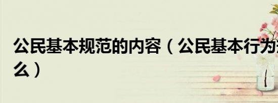 公民基本规范的内容（公民基本行为规范是什么）