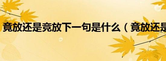 竟放还是竞放下一句是什么（竟放还是竞放）