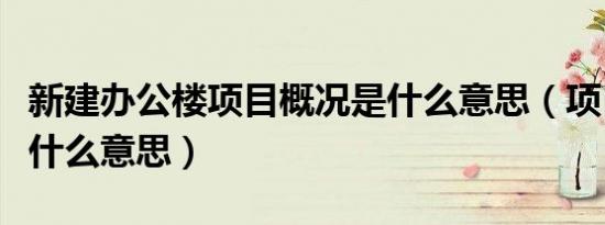 新建办公楼项目概况是什么意思（项目概况是什么意思）