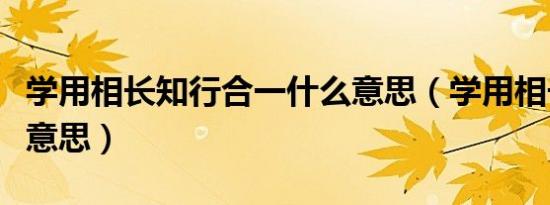 学用相长知行合一什么意思（学用相长是什么意思）