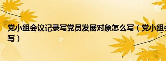 党小组会议记录写党员发展对象怎么写（党小组会议记录谁写）