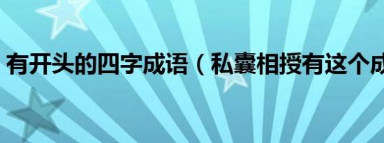 有开头的四字成语（私囊相授有这个成语吗）