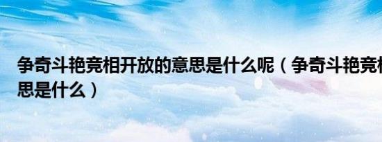 争奇斗艳竞相开放的意思是什么呢（争奇斗艳竞相开放的意思是什么）