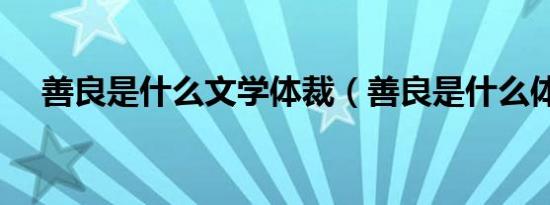 善良是什么文学体裁（善良是什么体裁）