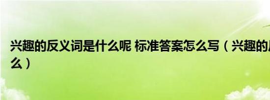 兴趣的反义词是什么呢 标准答案怎么写（兴趣的反义词是什么）