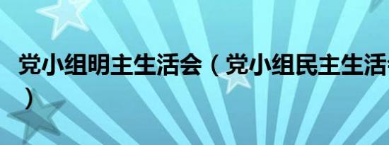 党小组明主生活会（党小组民主生活会怎么开）