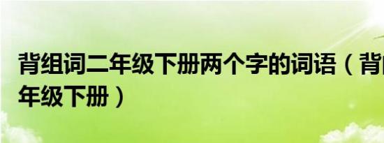 背组词二年级下册两个字的词语（背的组词二年级下册）