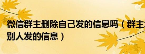 微信群主删除自己发的信息吗（群主怎么删除别人发的信息）