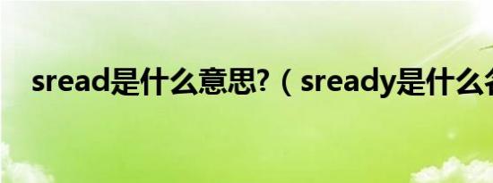 sread是什么意思?（sready是什么名词）