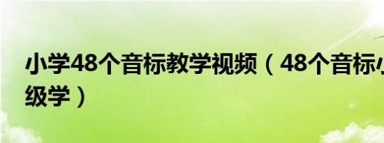 小学48个音标教学视频（48个音标小学几年级学）