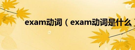 exam动词（exam动词是什么）