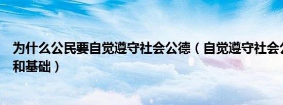 为什么公民要自觉遵守社会公德（自觉遵守社会公德的前提和基础）