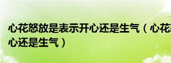 心花怒放是表示开心还是生气（心花怒放是开心还是生气）