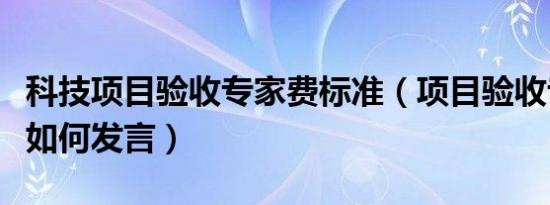 科技项目验收专家费标准（项目验收专家组长如何发言）