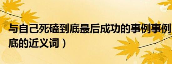 与自己死磕到底最后成功的事例事例（死磕到底的近义词）