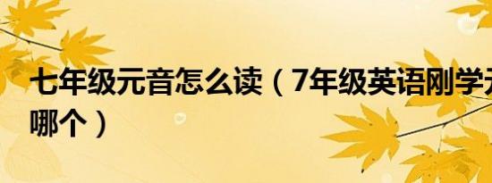 七年级元音怎么读（7年级英语刚学元音先学哪个）