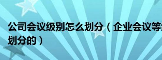 公司会议级别怎么划分（企业会议等级是如何划分的）