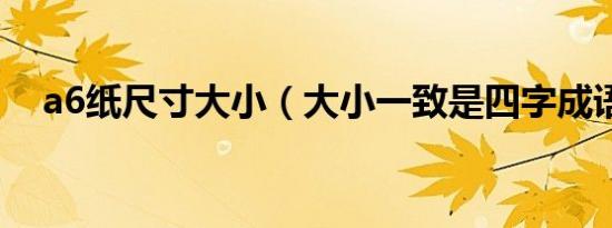 a6纸尺寸大小（大小一致是四字成语吗）