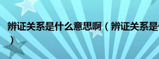 辨证关系是什么意思啊（辨证关系是什么意思）