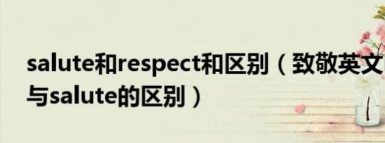 salute和respect和区别（致敬英文respect与salute的区别）