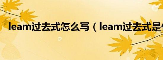 leam过去式怎么写（leam过去式是什么）