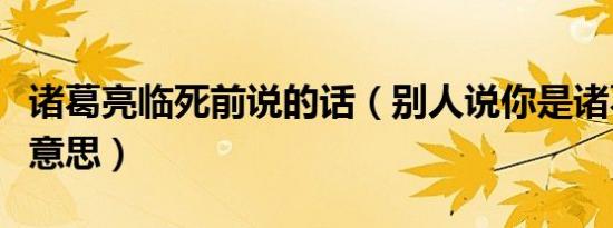 诸葛亮临死前说的话（别人说你是诸葛亮什么意思）