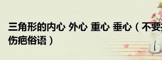 三角形的内心 外心 重心 垂心（不要揭人内心伤疤俗语）