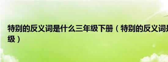 特别的反义词是什么三年级下册（特别的反义词是什么三年级）