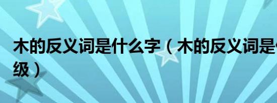 木的反义词是什么字（木的反义词是什么一年级）