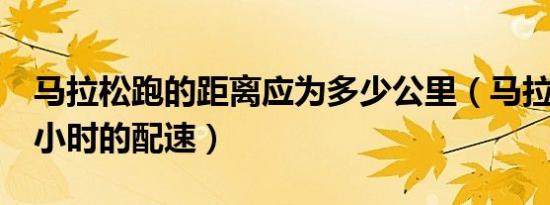 马拉松跑的距离应为多少公里（马拉松跑进3小时的配速）