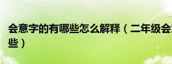 会意字的有哪些怎么解释（二年级会意字有哪些）