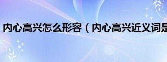 内心高兴怎么形容（内心高兴近义词是什么）