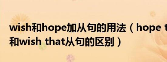 wish和hope加从句的用法（hope that从句和wish that从句的区别）