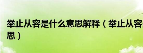 举止从容是什么意思解释（举止从容是什么意思）