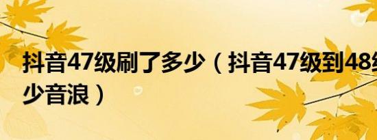 抖音47级刷了多少（抖音47级到48级要刷多少音浪）