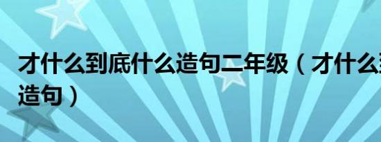 才什么到底什么造句二年级（才什么到底什么造句）