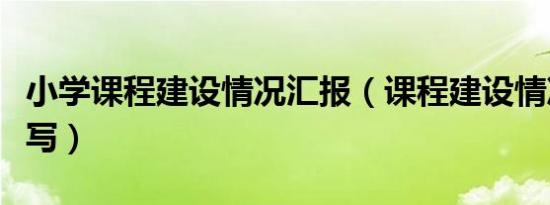 小学课程建设情况汇报（课程建设情况怎么填写）