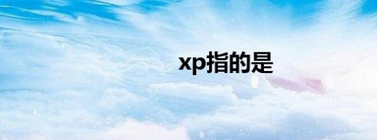 xp指的是