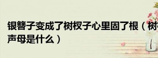 银簪子变成了树杈子心里固了根（树杈的树杈声母是什么）