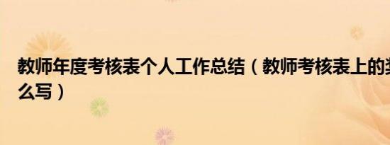 教师年度考核表个人工作总结（教师考核表上的奖惩情况怎么写）