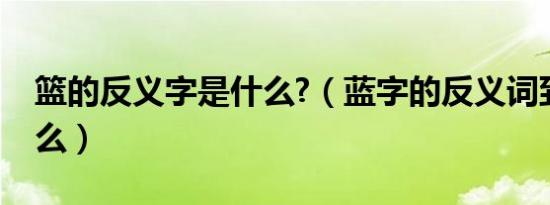 篮的反义字是什么?（蓝字的反义词到底是什么）