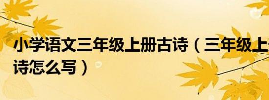 小学语文三年级上册古诗（三年级上册语文古诗怎么写）