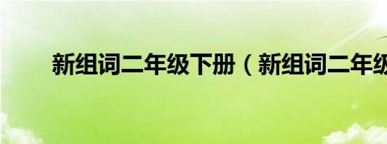 新组词二年级下册（新组词二年级）