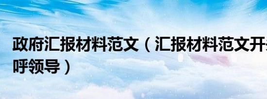 政府汇报材料范文（汇报材料范文开头如何称呼领导）