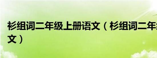 衫组词二年级上册语文（杉组词二年级上册语文）