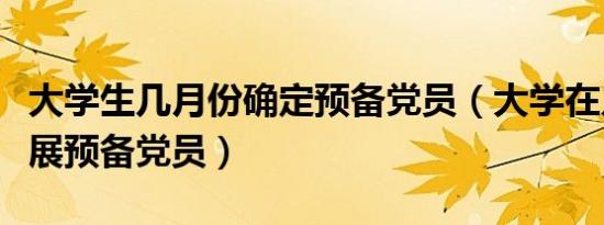 大学生几月份确定预备党员（大学在几月份发展预备党员）